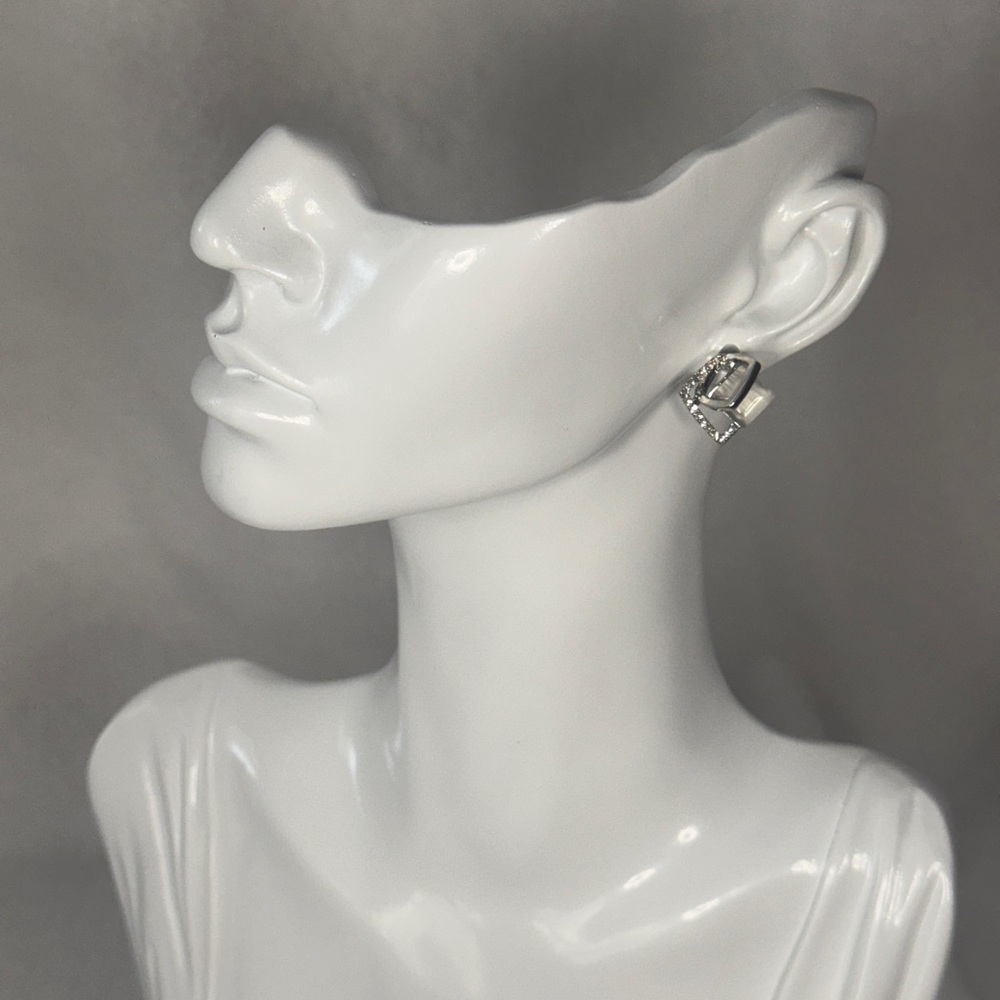 Elegant Silver Earrings
